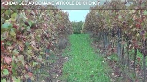 DomaineduChenoy4