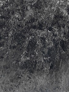 gilbert-fastenaekens-300x400pxl