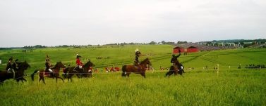 11216213_10205778538276993_8222808977547666588_o