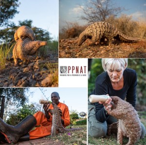 © "Photographes pour la Préservation de la Nature"