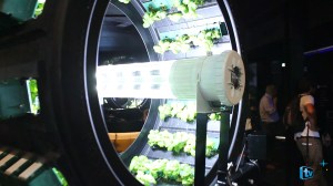 MVI_1042.MOV.Still005