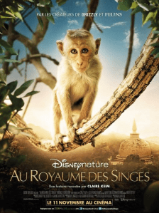 Nature Royaume des Singes