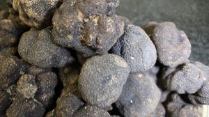 MVI_5983.MOV.Still007