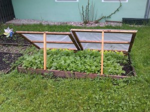 potager