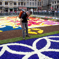 L'entretien (c) Wim Vanmaele