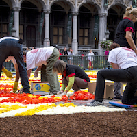 La réalisation (c) Wim Vanmaele 