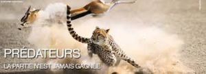 "Prédateurs" (c) "BBC"