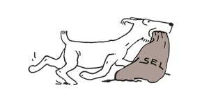 (c) « Hergé-Moulinsart » 2016