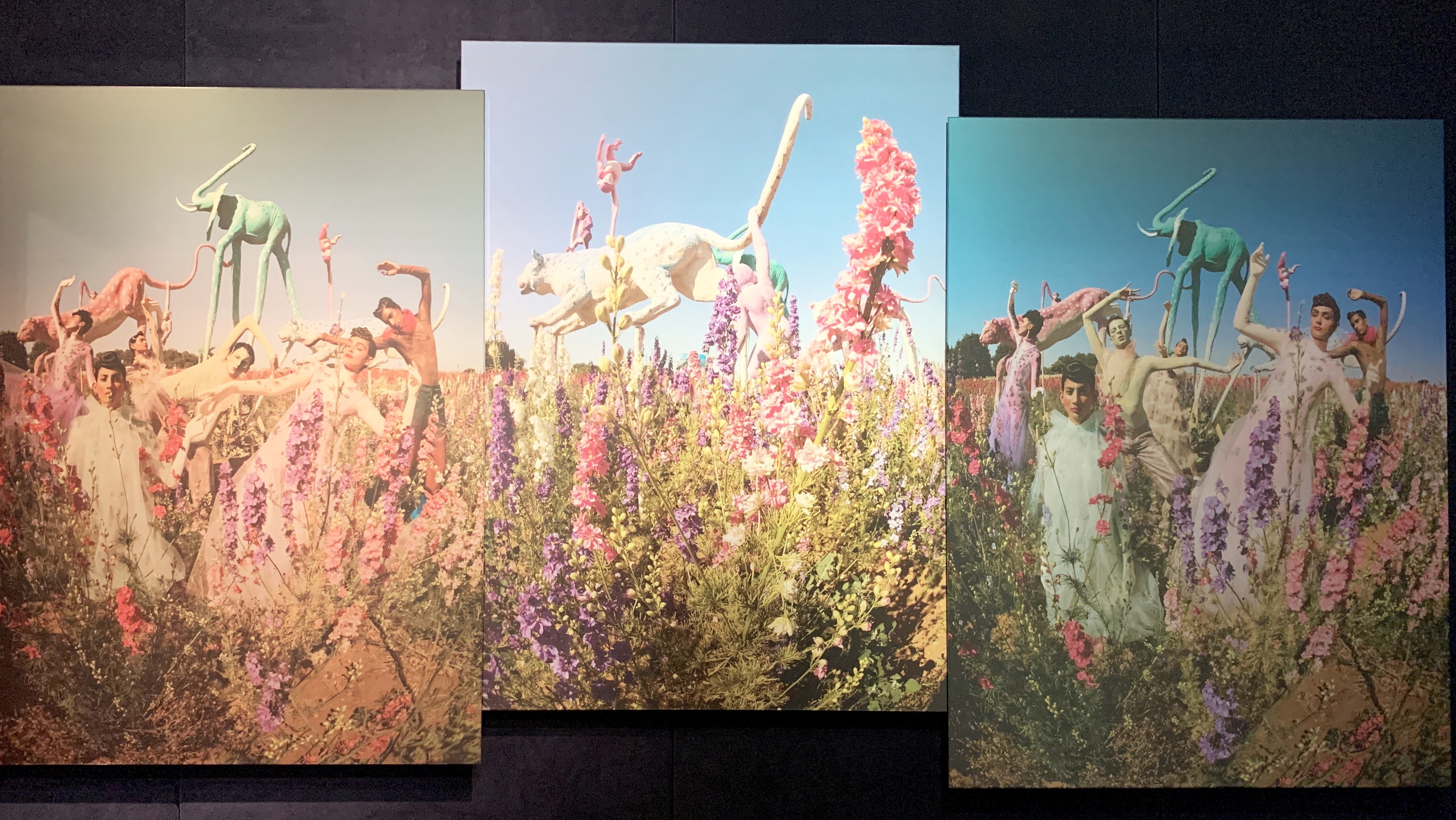 Image pour publication