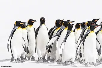 Dorota et Bruno Sénéchal