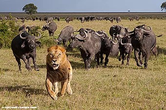 Dominique Haution et Laurent Renaud
