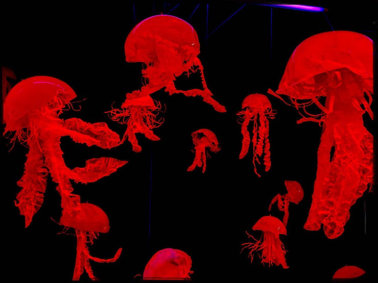 novacene, expo lille, lille 3000, lille3000, expo gratuite, que visiter en France, oeuvre d art, musée français, ouverture musée, expositions musées