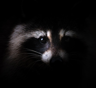 Jérémie Hynderick - 2025.jpg