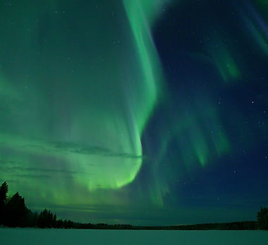 Europe - Forest Photo 2 FASZINATION_EUROPA_EP4_Pressefotos_6.jpg