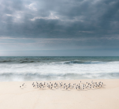 Jean-Michel Lenoir - 2025.jpg