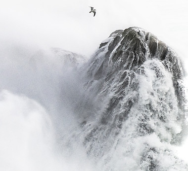 Marc Tisseau - 2025.jpg