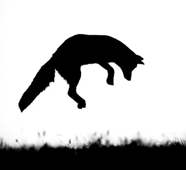 Greban Fabien 2025.jpg