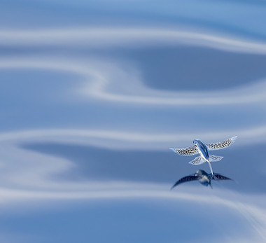 Rafael Armada - Naviguer dans le ciel - 2025.jpg