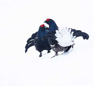 Yannick Medard - 2025.jpg