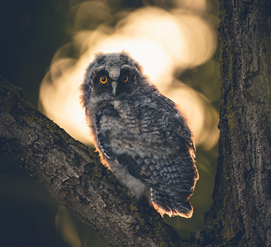 Michael Colson - 2025.tif