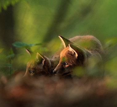 01_VANBELLE_Quentin_Complicite (1).jpg