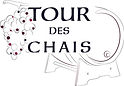Nouveau logo TDC JPG.jpg